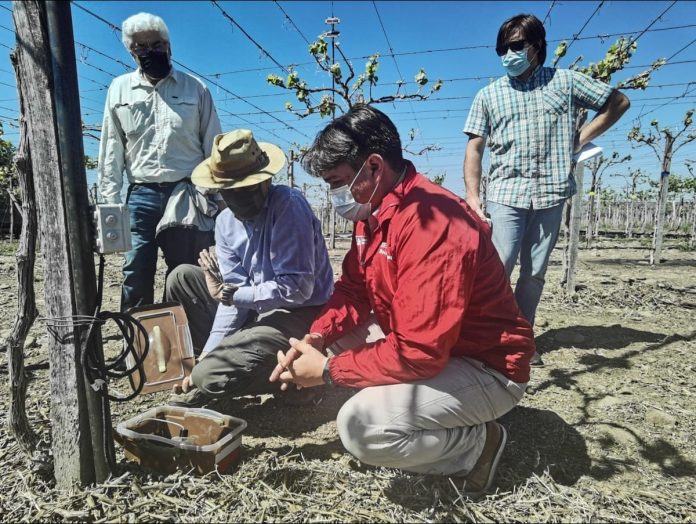 Ovalle: Con la utilización de sondas de capacitancia buscan un control inteligente del riego y un uso sustentable del agua