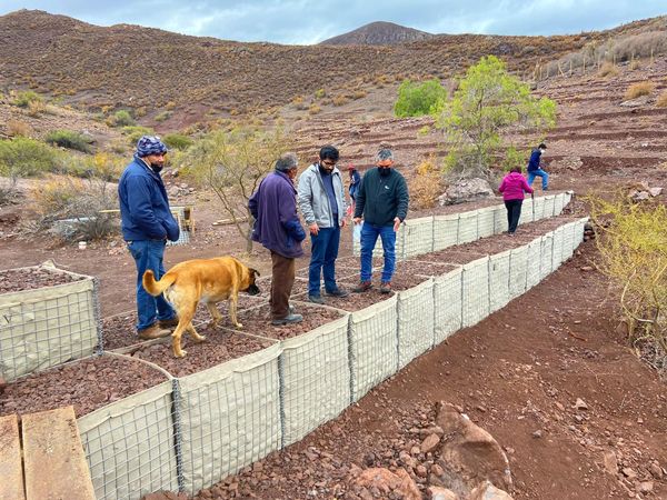 DPP Limarí y Comisión Hídrica Regional visitan experiencias de gestión de agua de la provincia