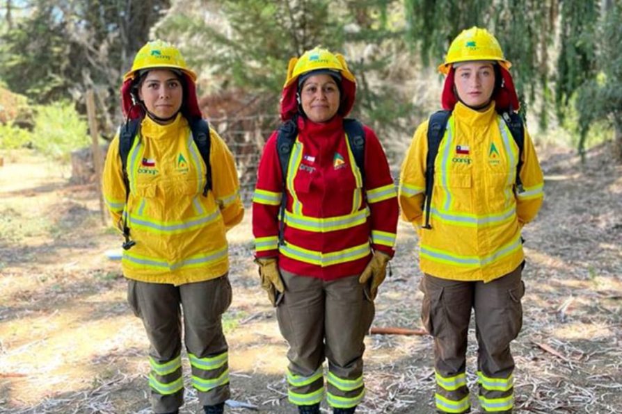 Autoridades destacan la labor de Brigadistas Forestales en la región de Coquimbo