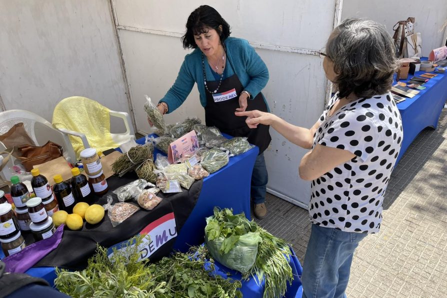 Feria Bazar PRODEMU pone en valor el trabajo de  productoras locales