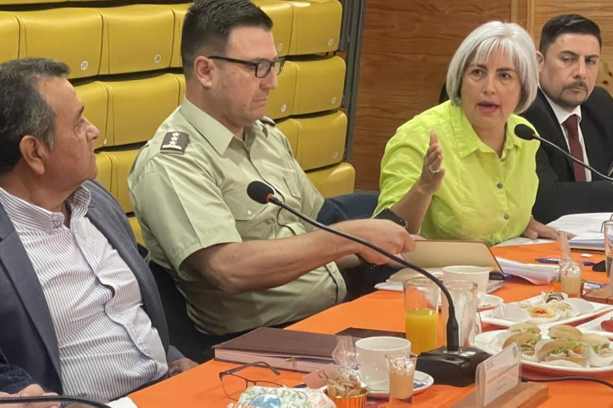 Sistema Táctico de Operación Policial (STOP) sesiona en Punitaqui